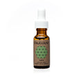 Paavani Vata facial serum for dry skin in amber dropper bottle, Qu!rk Boutique skincare