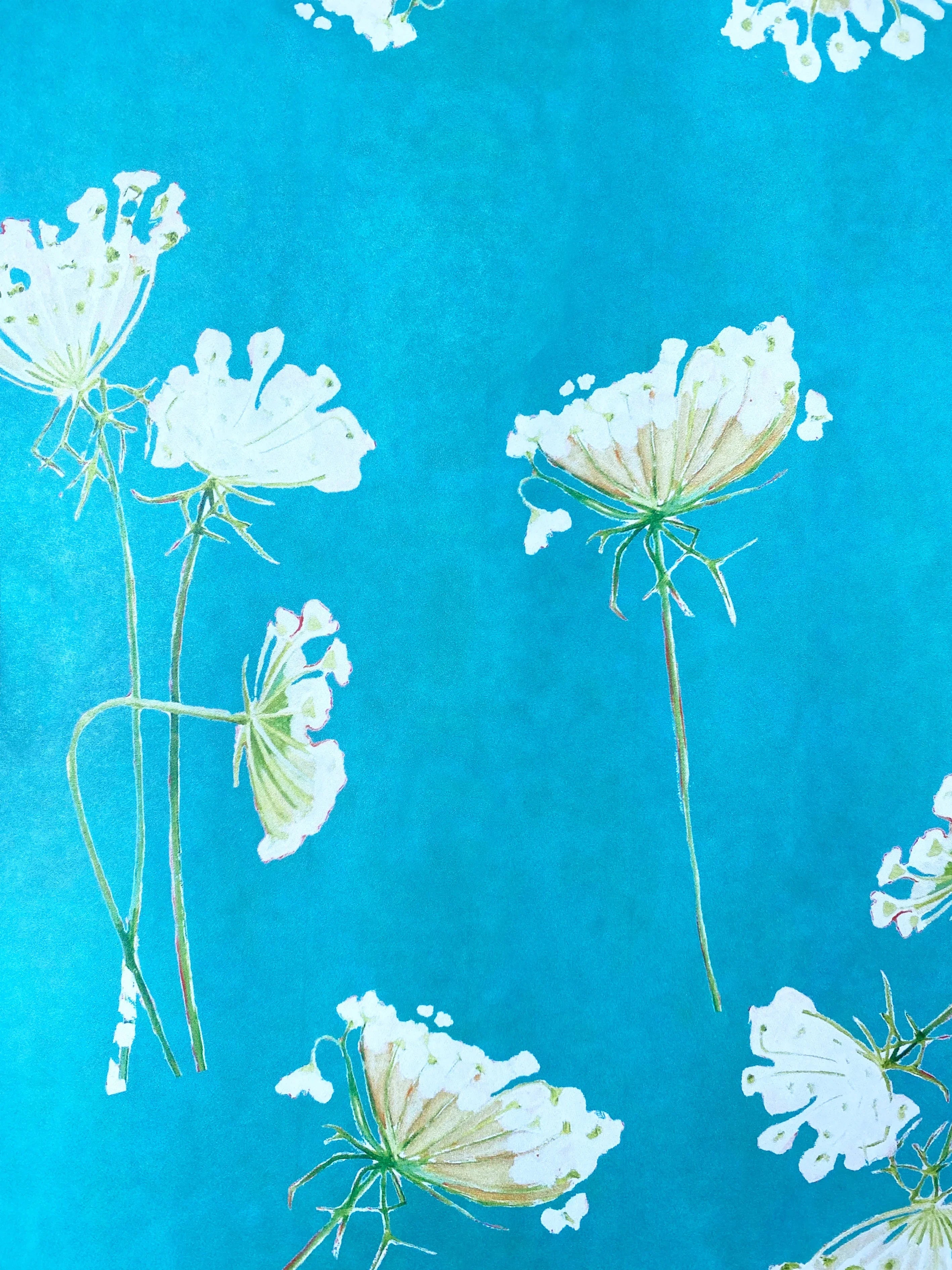 Bright blue wrapping paper with delicate white Queen Anne's Lace flower illustrations