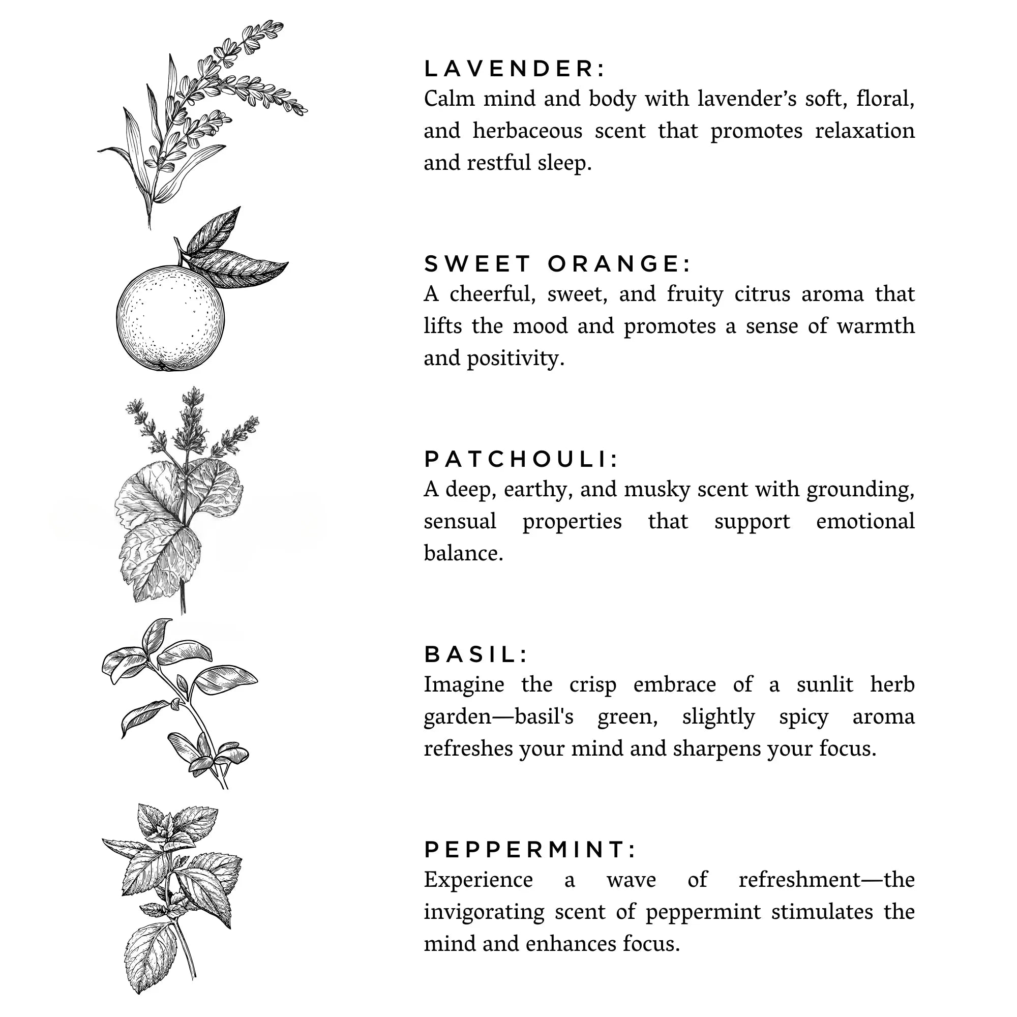 Illustrations and descriptions of lavender, sweet orange, patchouli, basil, and peppermint scents with their relaxing and uplifting benefits