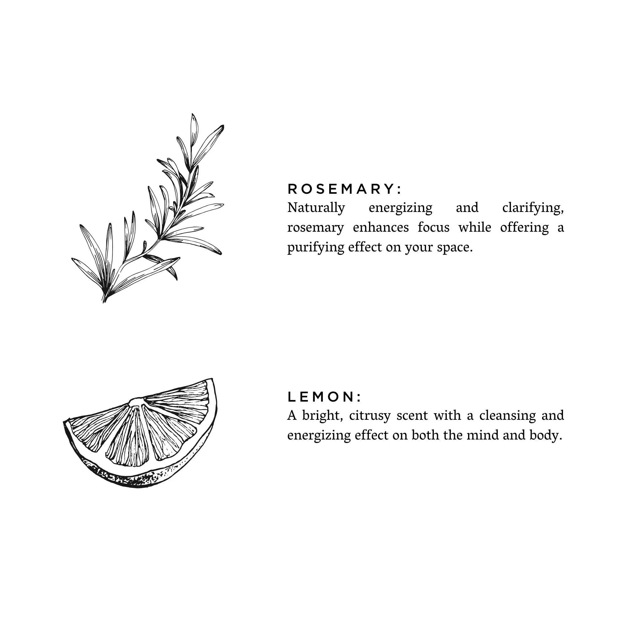 Black and white illustrations of rosemary sprig and lemon wedge with text about their energizing and clarifying effects
