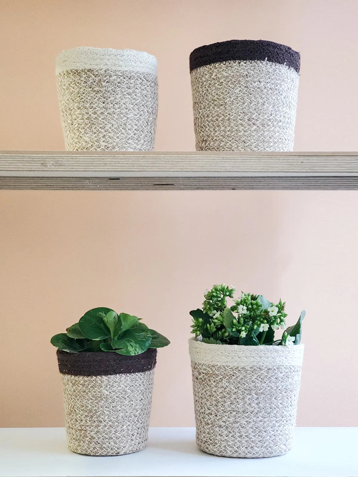 Woven baskets in natural tones, some with green leafy plants and white flowers, on white surface and shelf