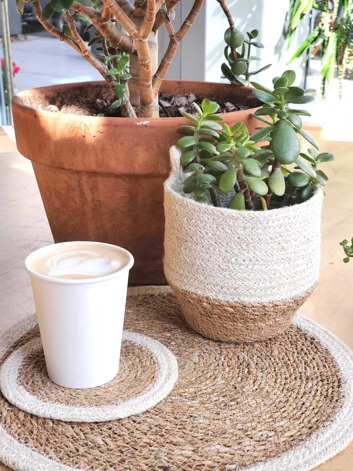 Eco-friendly rope basket with succulent plant, paper coffee cup, and terracotta pot on woven mat