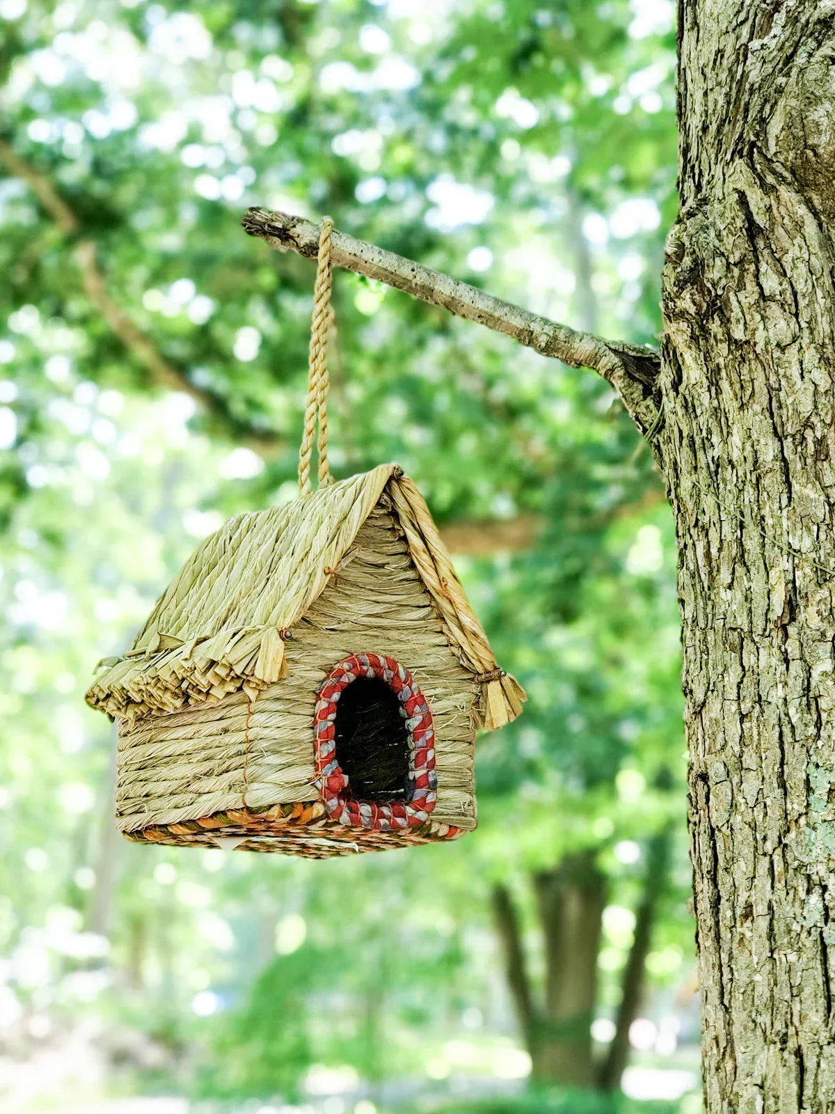 Woven birdhouse hanging from tree branch in lush green park setting