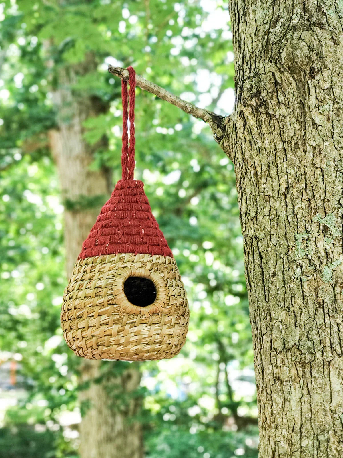 Handwoven birdhouse with red top hanging from tree branch in vibrant green forest
