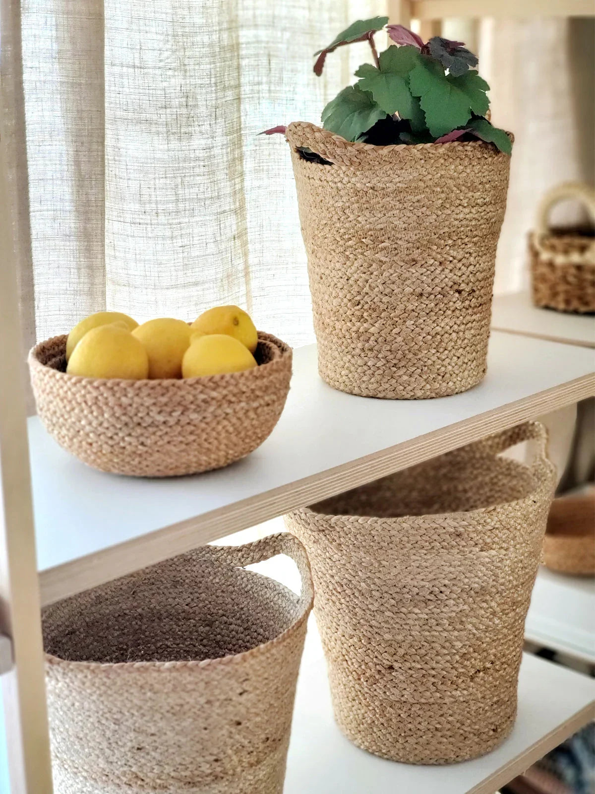 Handwoven natural basket with side handle, styled with plant; eco-friendly home decor from Qu!rk Boutique.