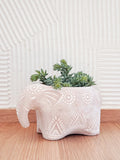White terracotta elephant planter with succulent plant on wooden floor and textured white wall