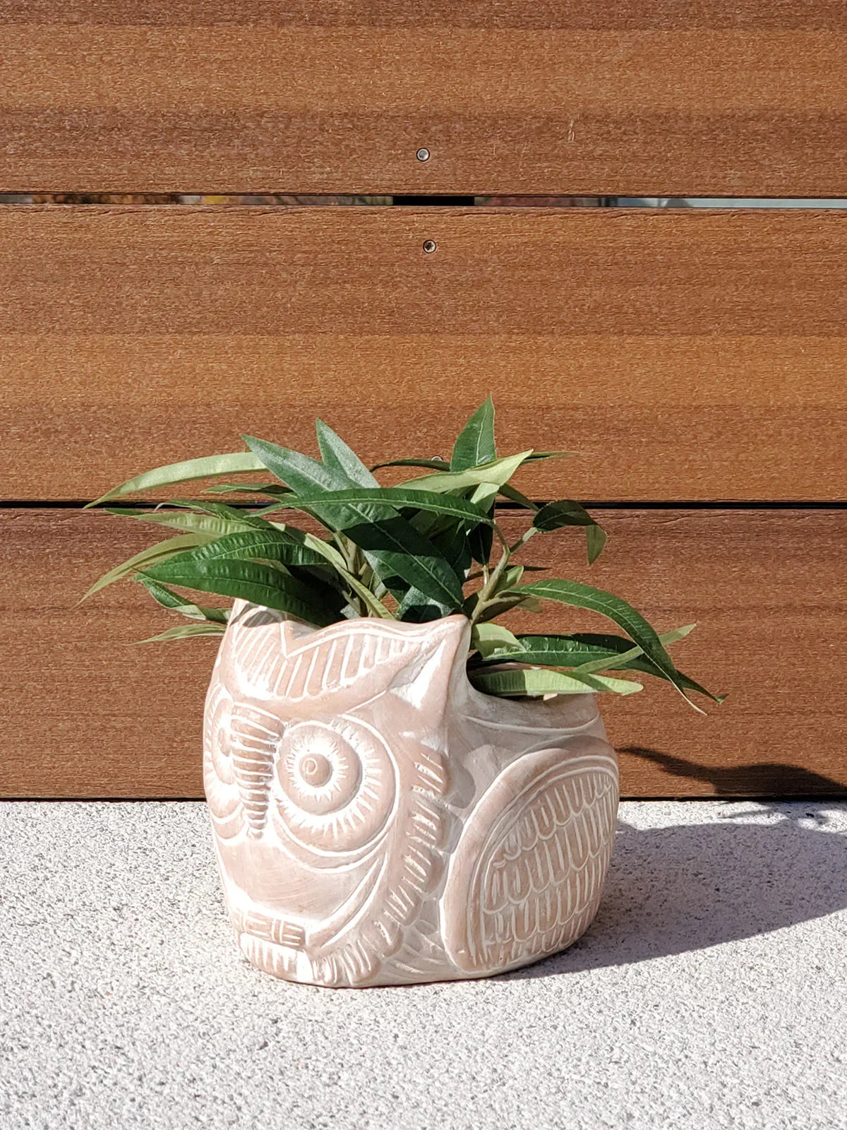 Terracotta owl-shaped planter with green leafy plant on light concrete floor and wooden wall background