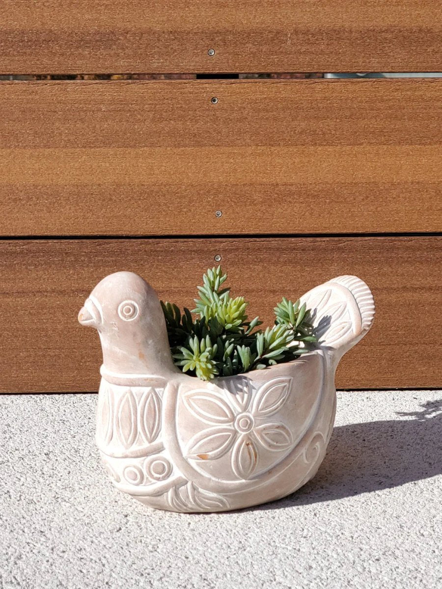 Terracotta Pot - Spotted Dove - Qu!rk Boutique
