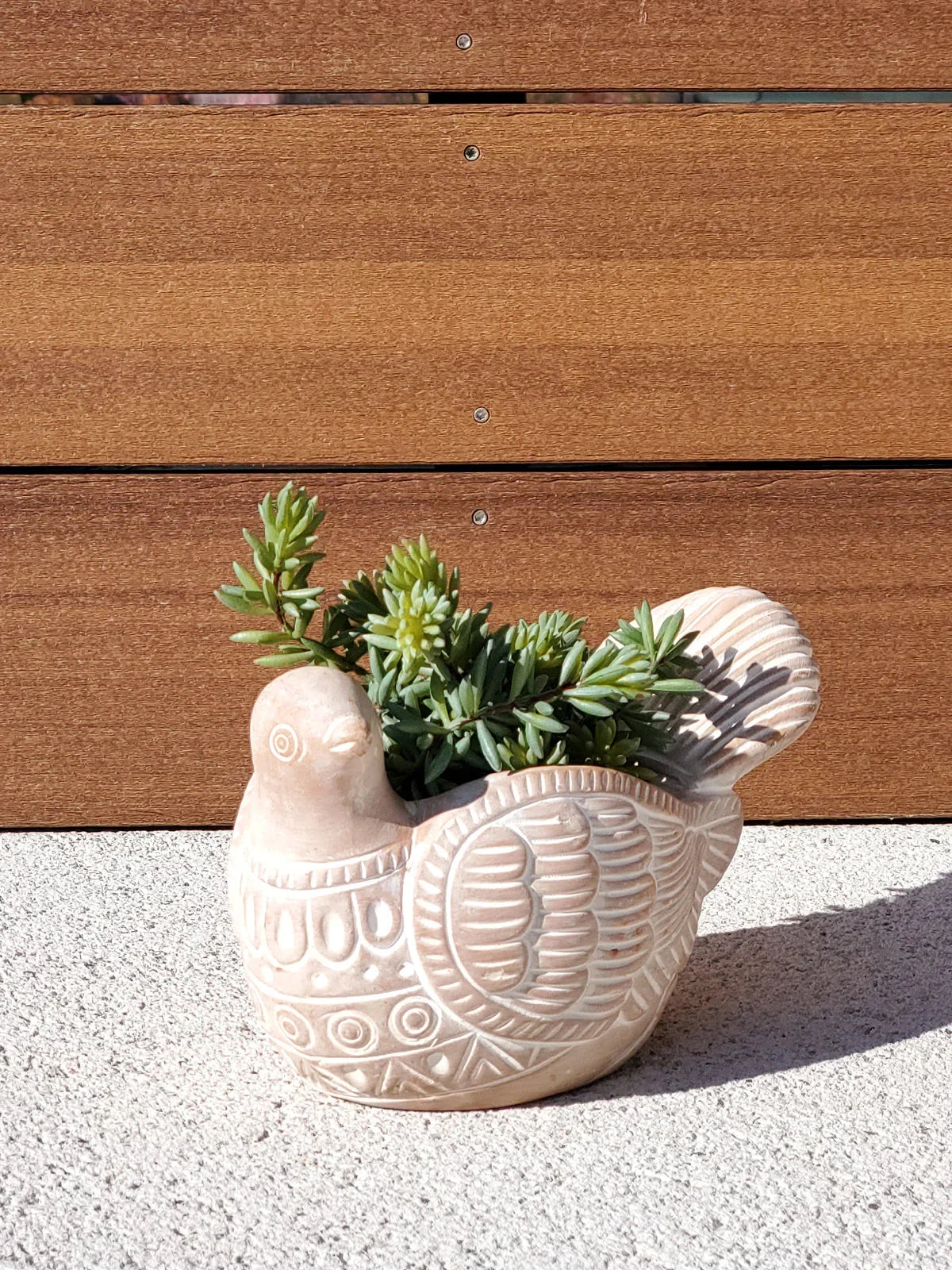 Terracotta bird-shaped planter with green succulent plant against wood panel and concrete surface