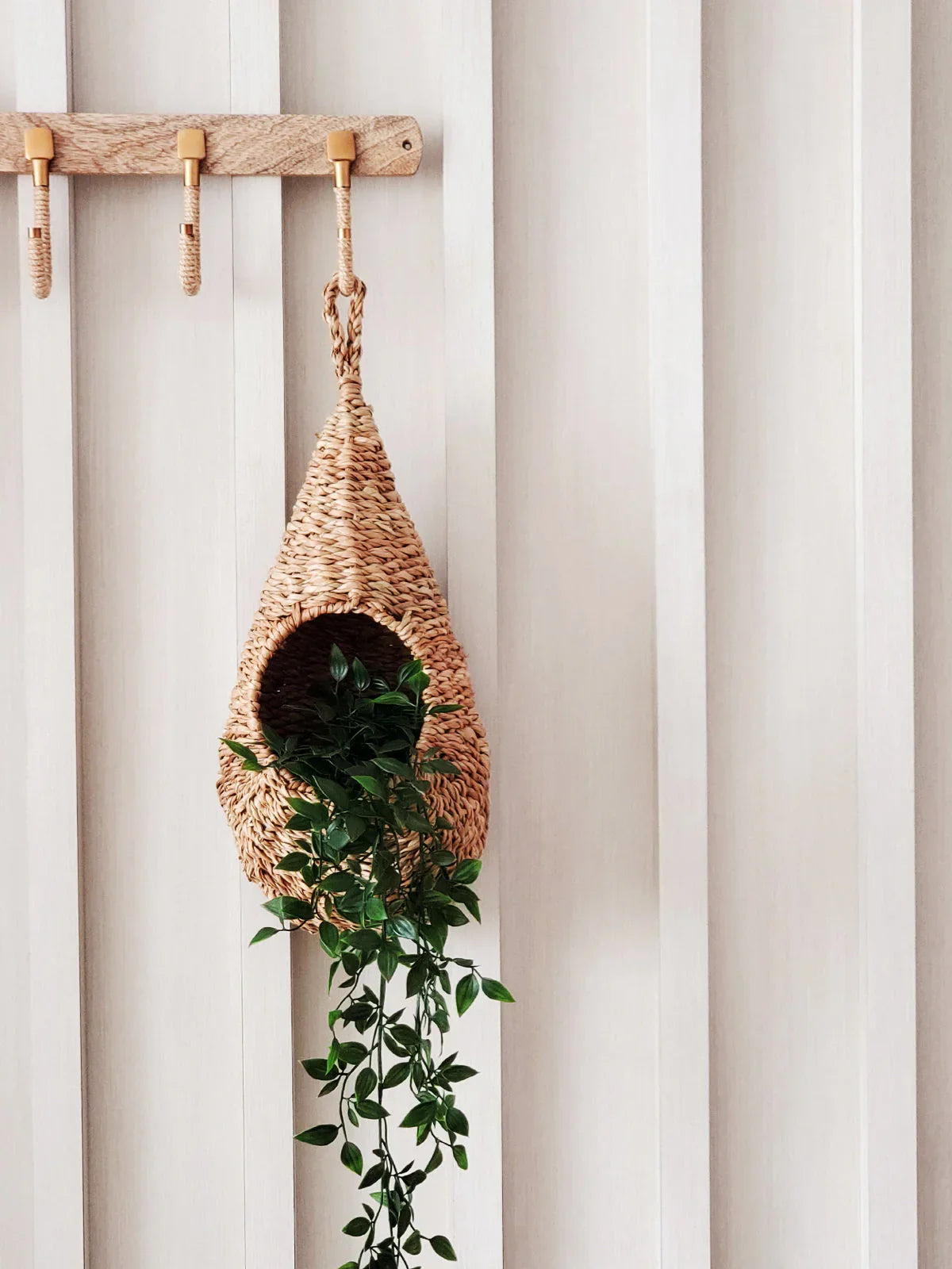 Woven hanging wicker basket planter with trailing green leaves on white paneled wall