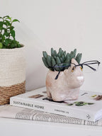 📦 Handmade Terracotta Pot - Rhino - Qu!rk Boutique