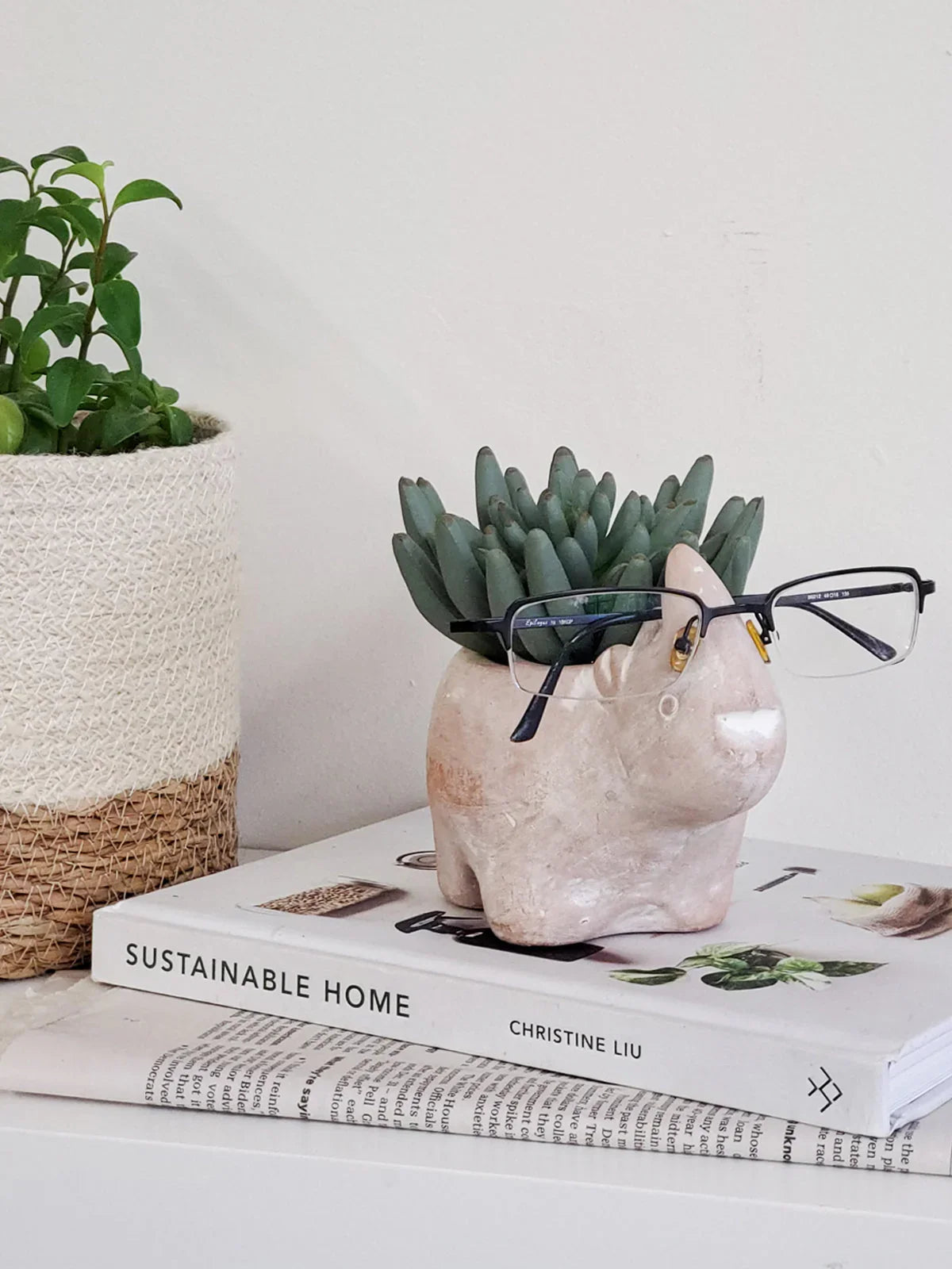 Rhino-shaped terracotta planter with succulent and eyeglasses, on Sustainable Home book next to woven plant pot