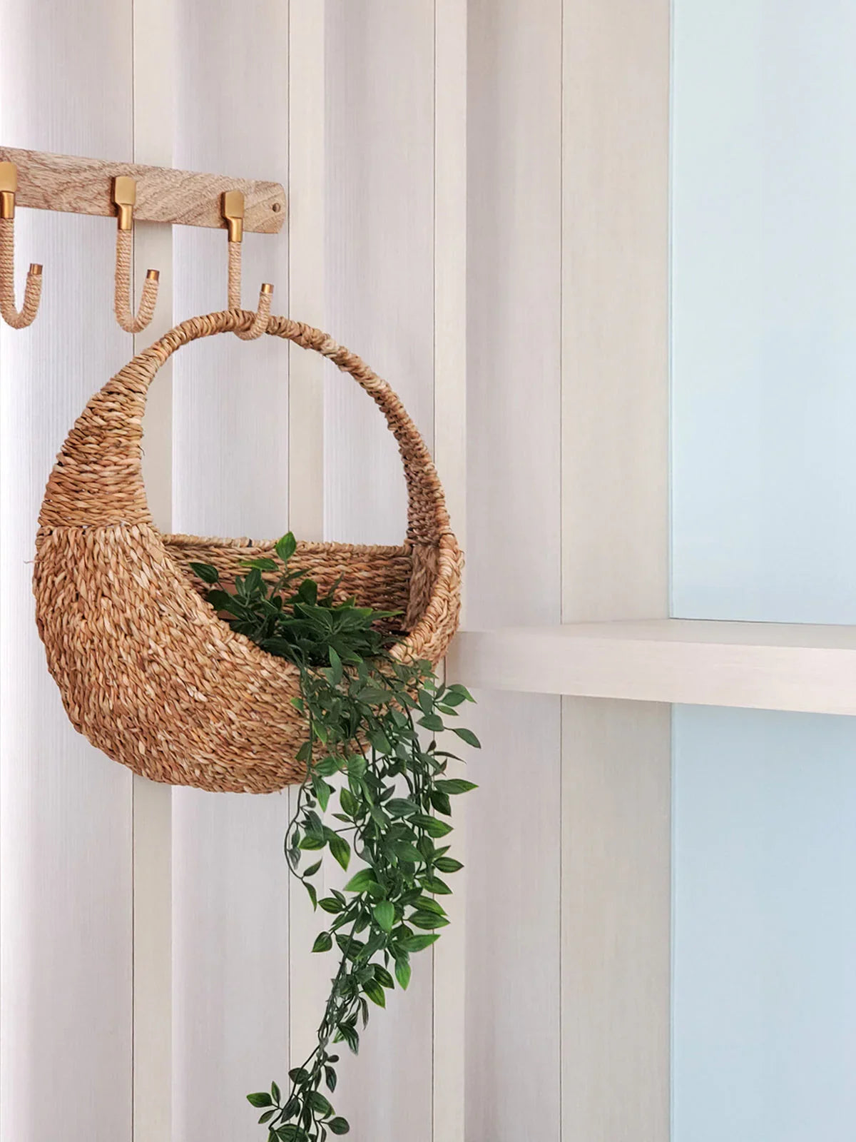 Woven hanging planter with trailing green plant on wooden hooks; modern eco-friendly decor