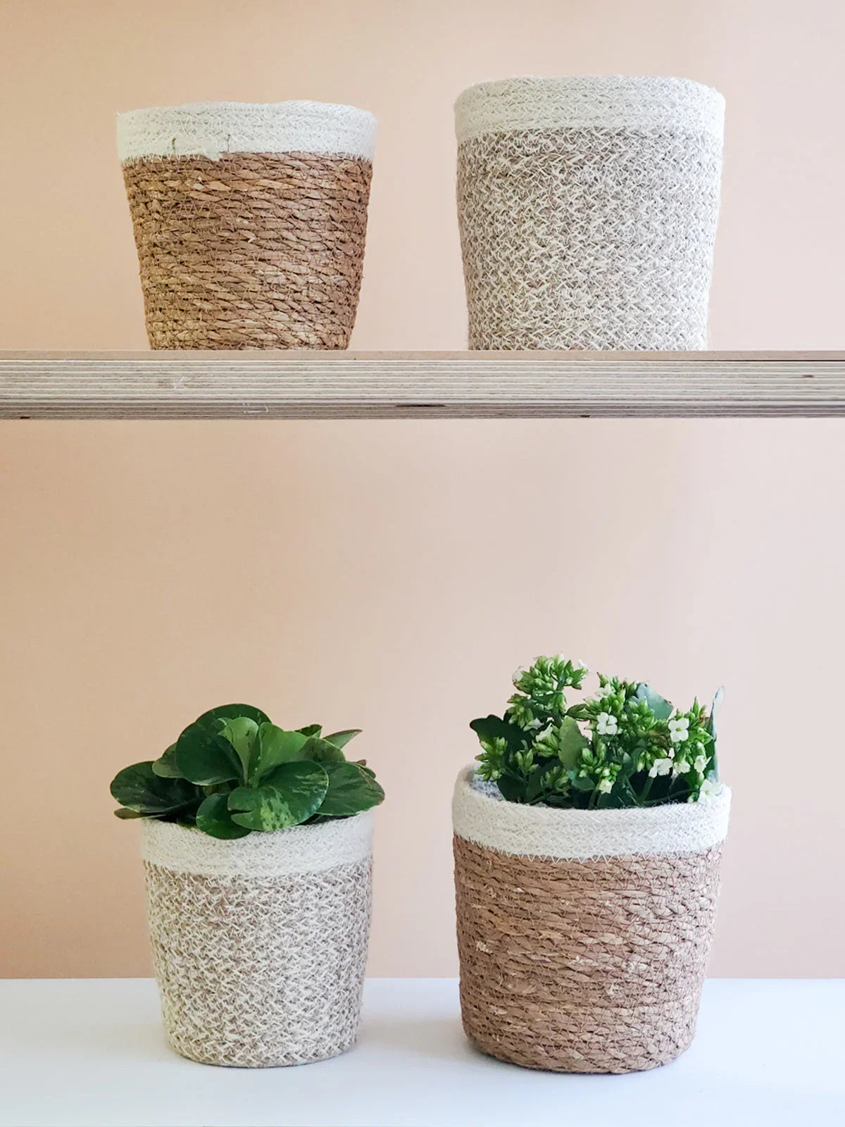 Two woven plant baskets with green foliage and white flowers on a wooden shelf and table