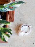 Terracotta rabbit-shaped candle holder with white tealight on light stone surface next to green variegated leaves