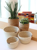 Kata Bin - Qu!rk Boutique