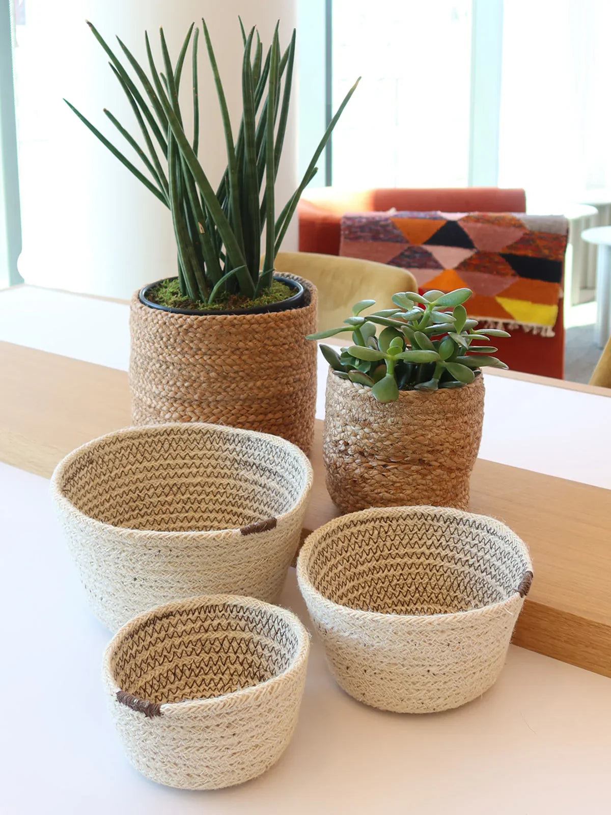 Natural woven baskets and plant holders with green succulents on a white table in bright modern room