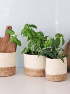 Savar Basket - Qu!rk Boutique