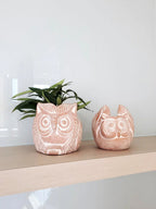 📦 Handmade Terracotta Pot - Horned Owl - Qu!rk Boutique
