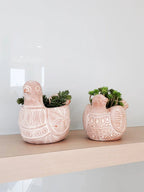 Terracotta Pot - Spotted Dove - Qu!rk Boutique