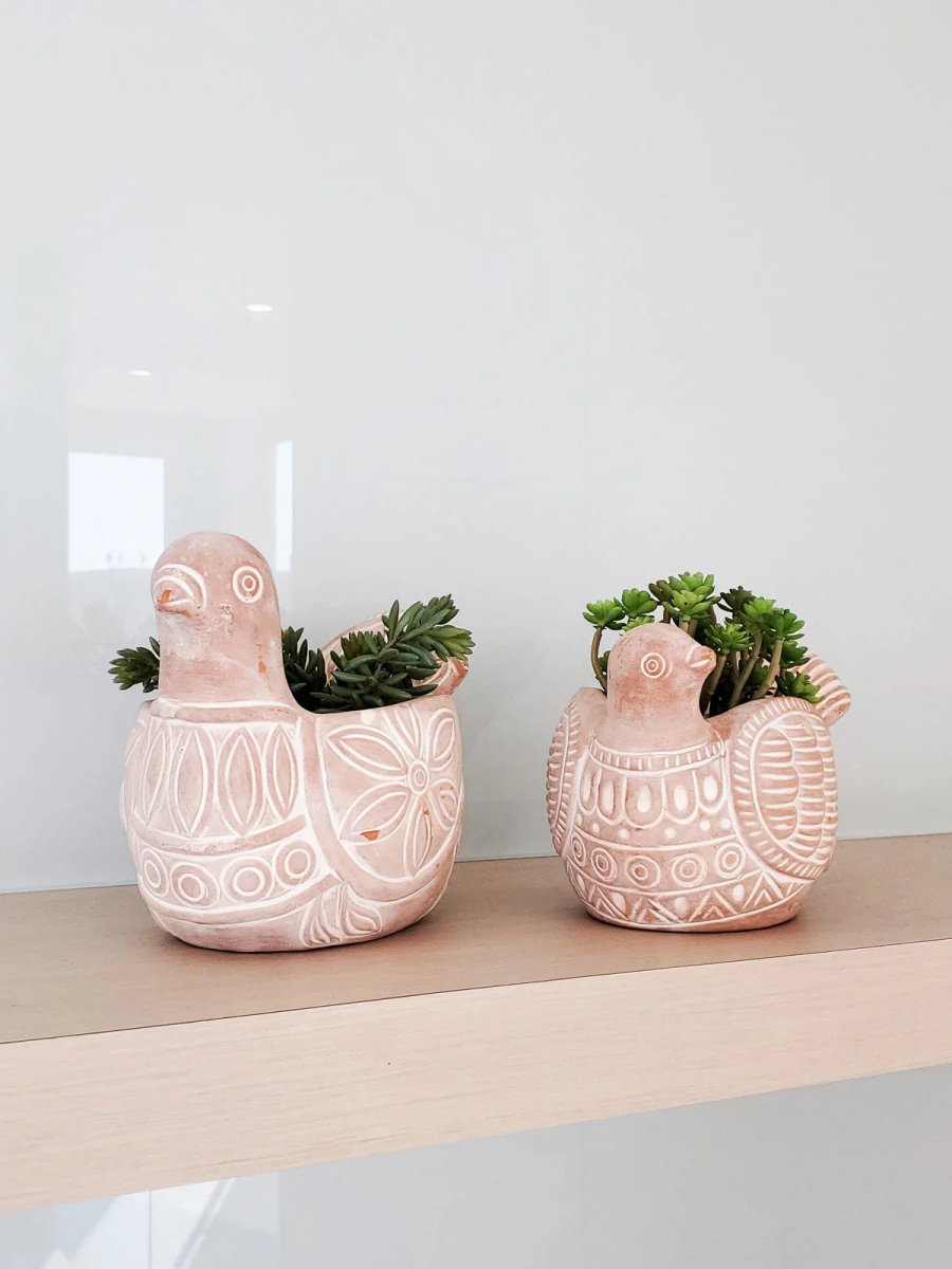 Terracotta Pot - Spotted Dove - Qu!rk Boutique