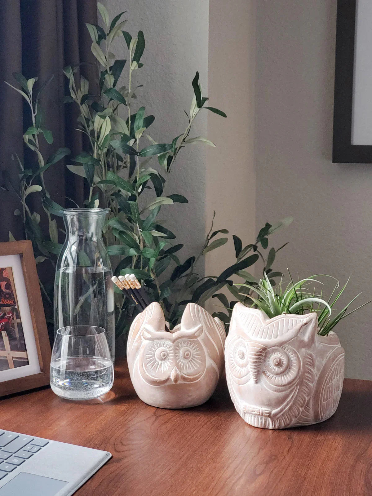 Terracotta owl-shaped planters on wooden desk with green plant and pencils