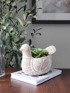 Terracotta Pot - Spotted Dove - Qu!rk Boutique