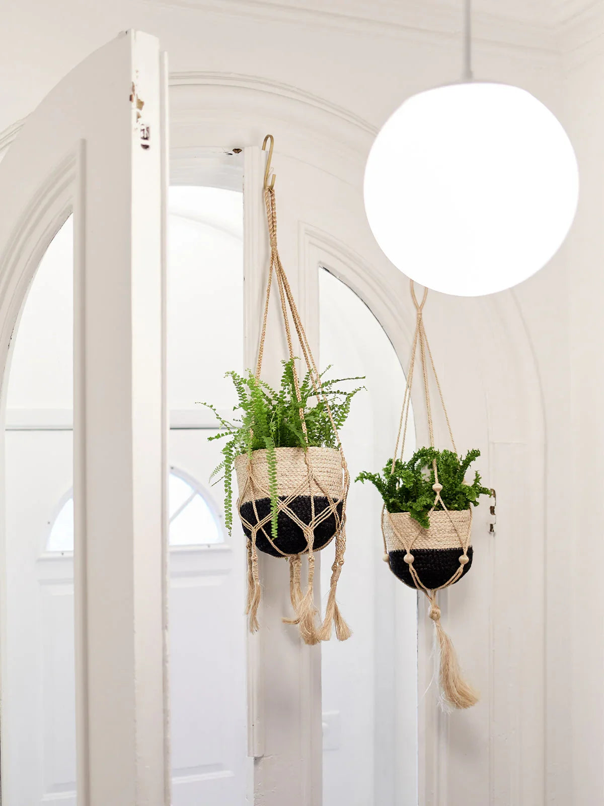 Two woven plant hangers with ferns hanging in a bright, modern entryway at Qu!rk Boutique.