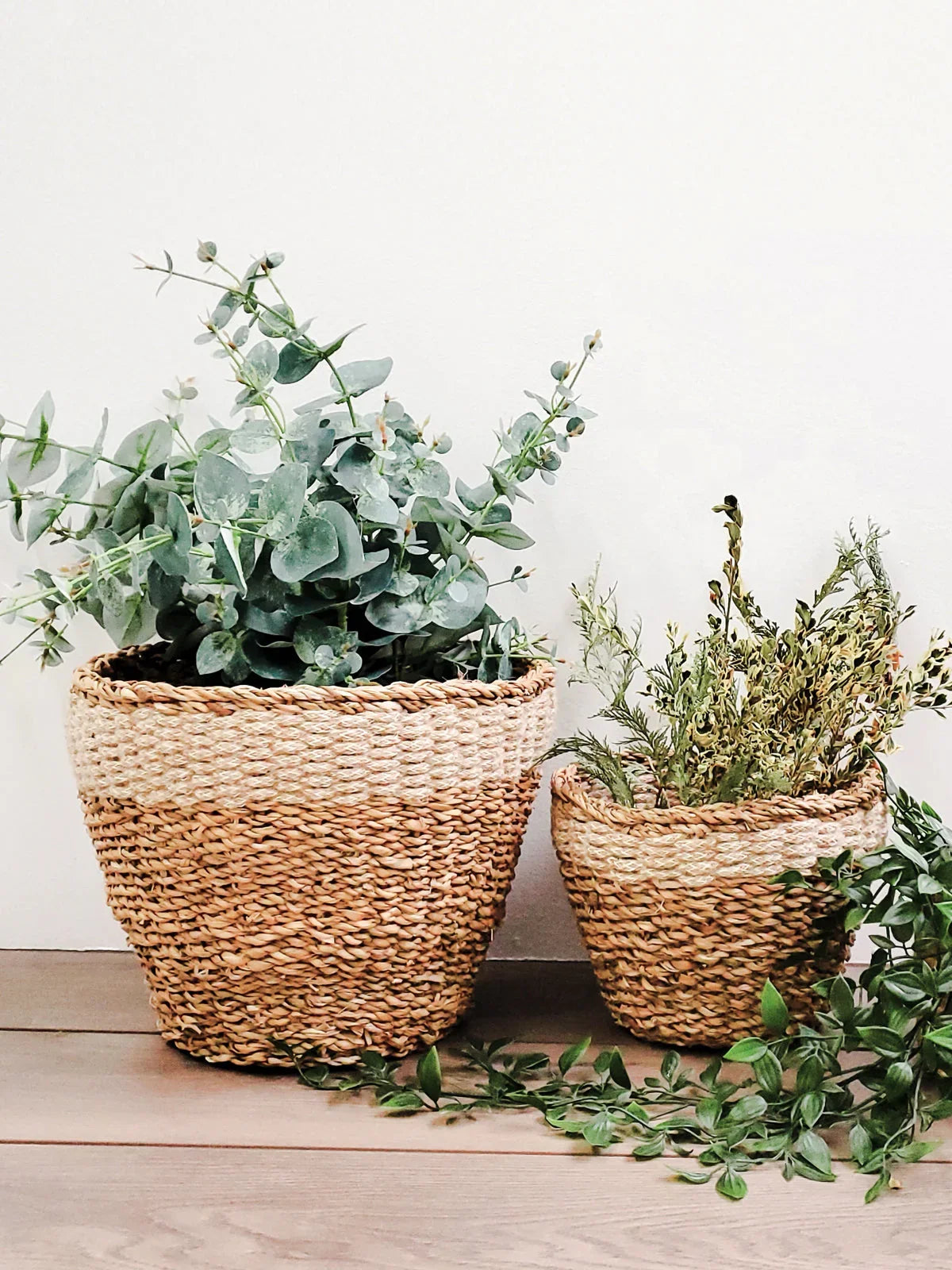 Two woven planters with green foliage on a wood floor, boutique sustainable decor