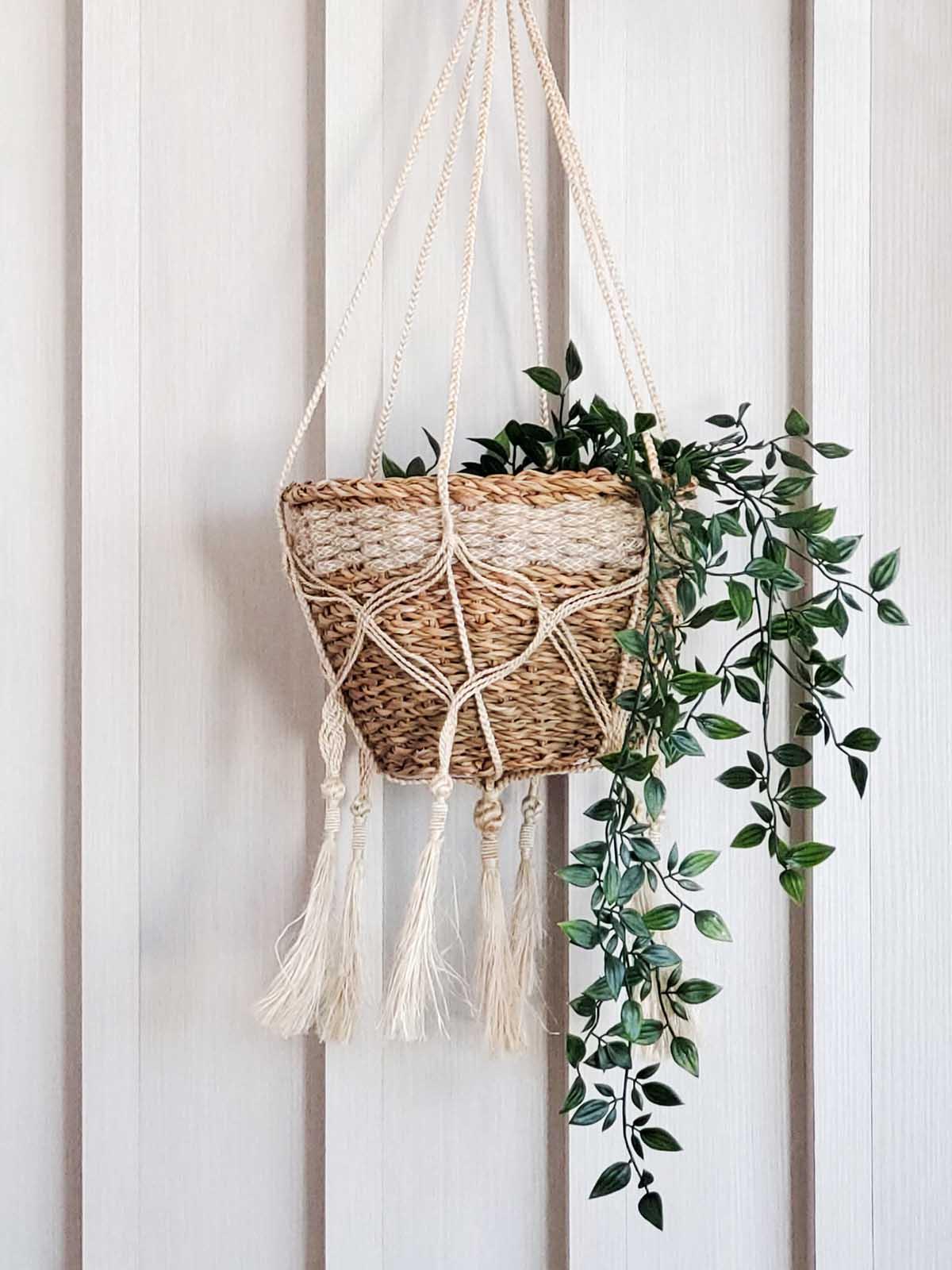 Ethically sourced woven plant hanger with trailing greenery, Qu!rk Boutique eco-friendly décor