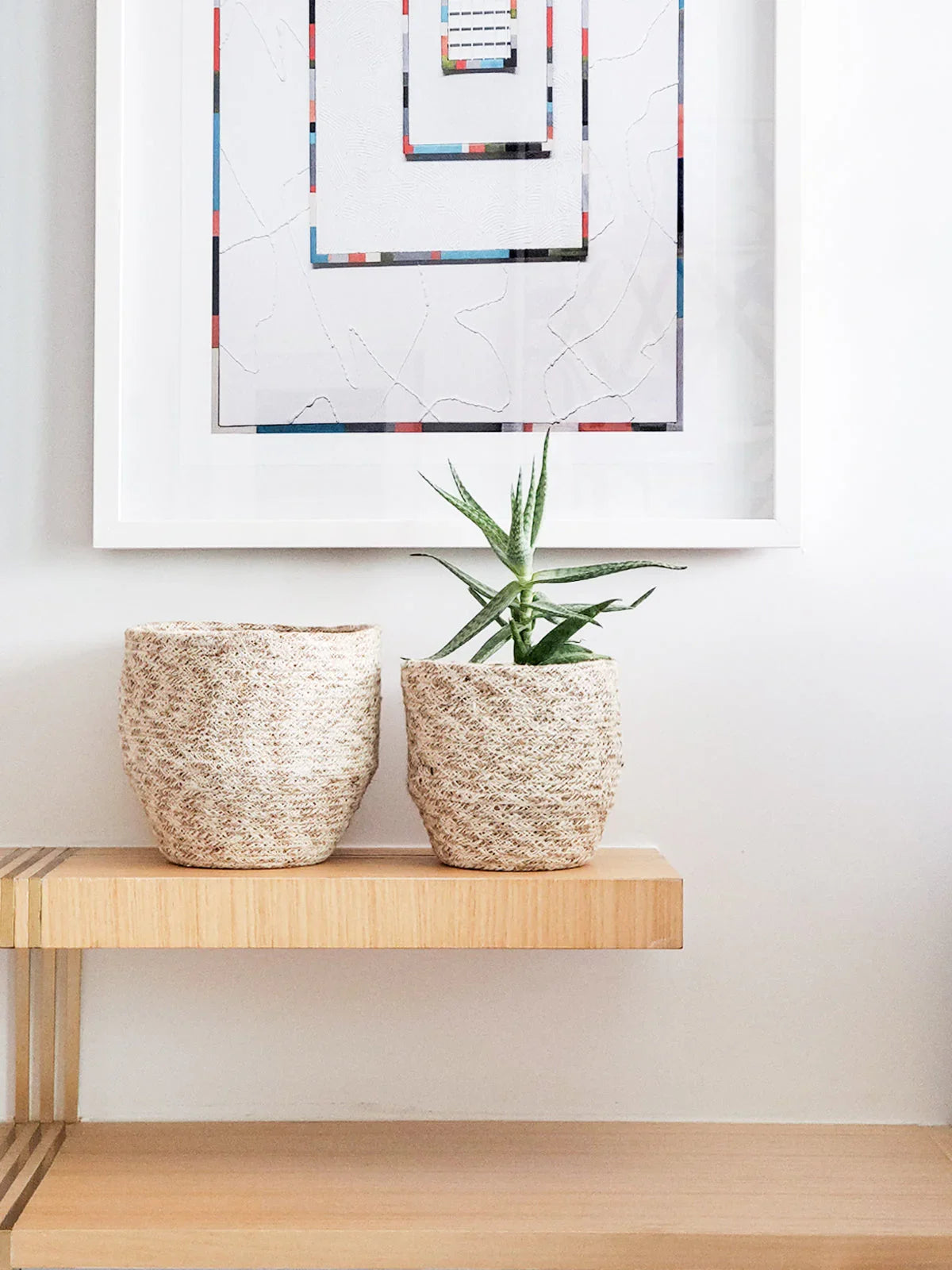 Two woven baskets, one with a succulent plant, on a wooden shelf with modern art behind.