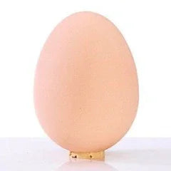 Natural brown egg upright on white surface, boutique eco-friendly aesthetic