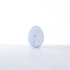 SALTSHAKER - EI - Qu!rk Boutique