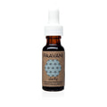 Paavani Clarify facial serum dropper bottle for acne-prone skin on white background