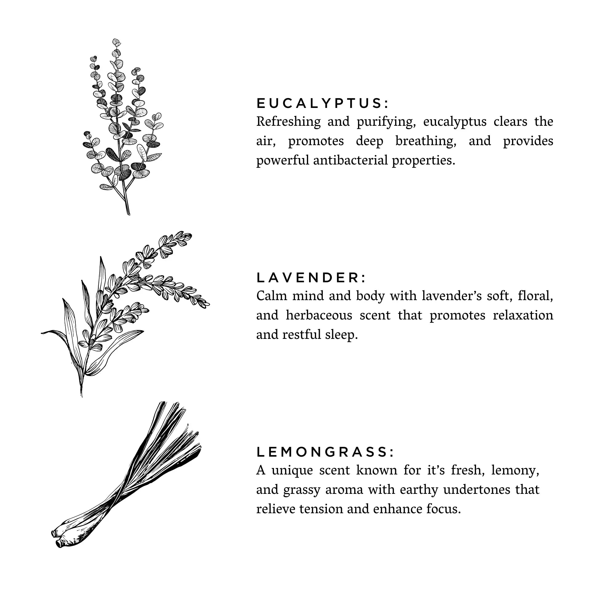 Botanical illustrations of eucalyptus, lavender, and lemongrass with benefits described for each plant.