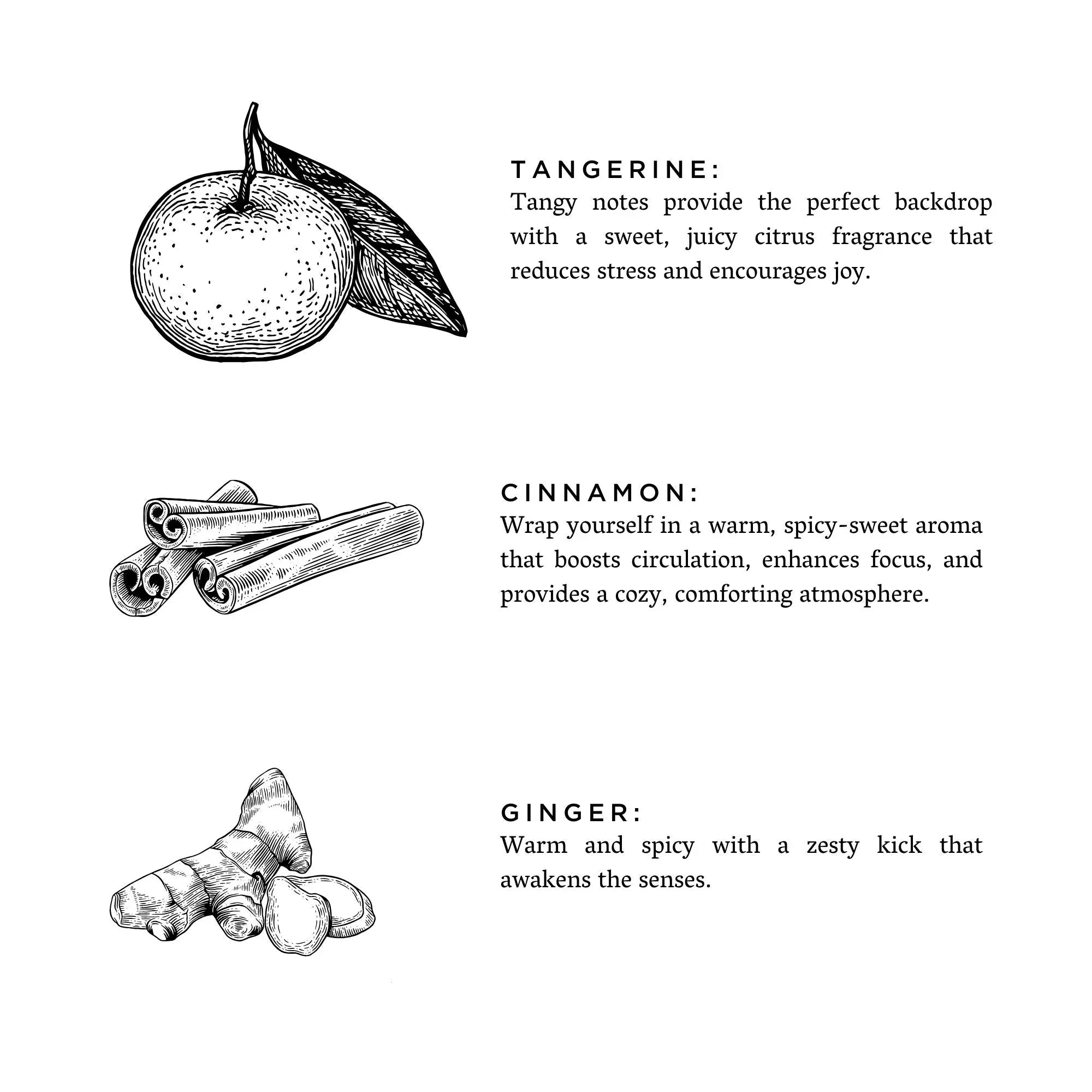 Hand-drawn illustrations of tangerine, cinnamon sticks, and ginger with descriptions of their fragrance benefits