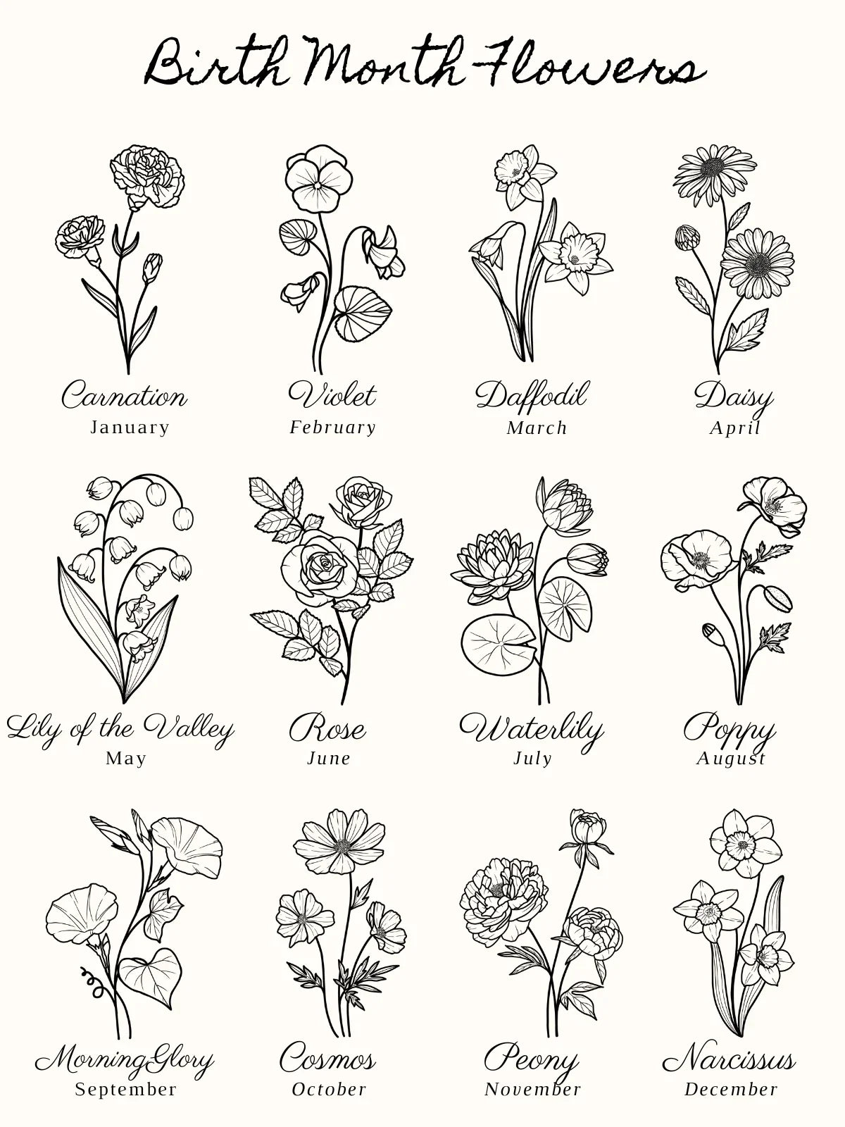 Black and white illustration of birth month flowers with handwritten names and months from January Carnation to December Narcissus