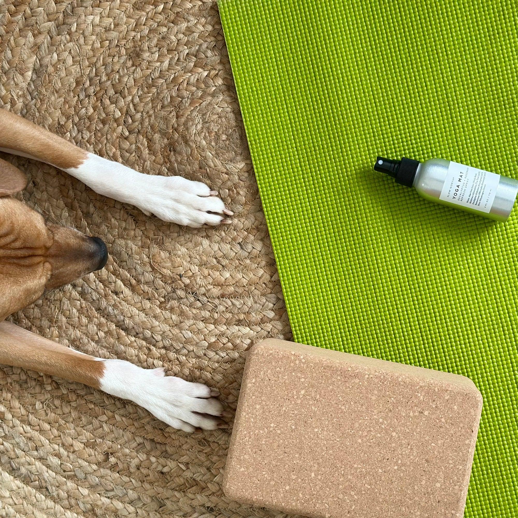 Dog paws on woven rug next to green yoga mat, cork yoga block, and yoga mat cleaner spray