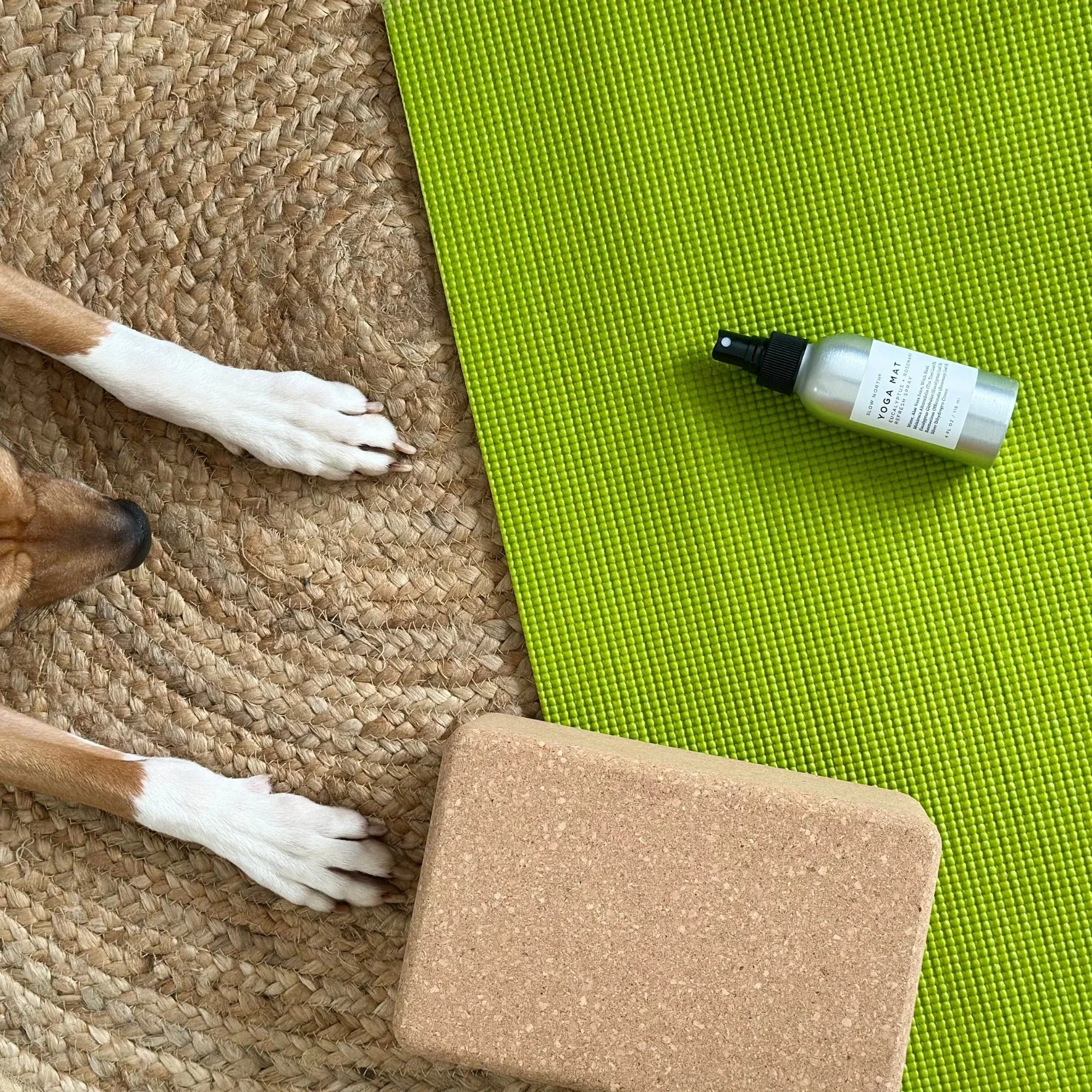 Dog paws on woven rug next to green yoga mat, yoga block, and spray bottle