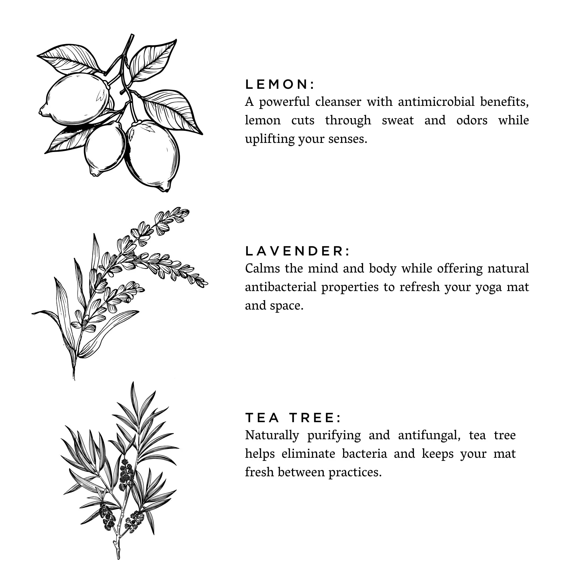 Illustrations of lemon, lavender, and tea tree with text describing their cleansing and antibacterial benefits for yoga mats