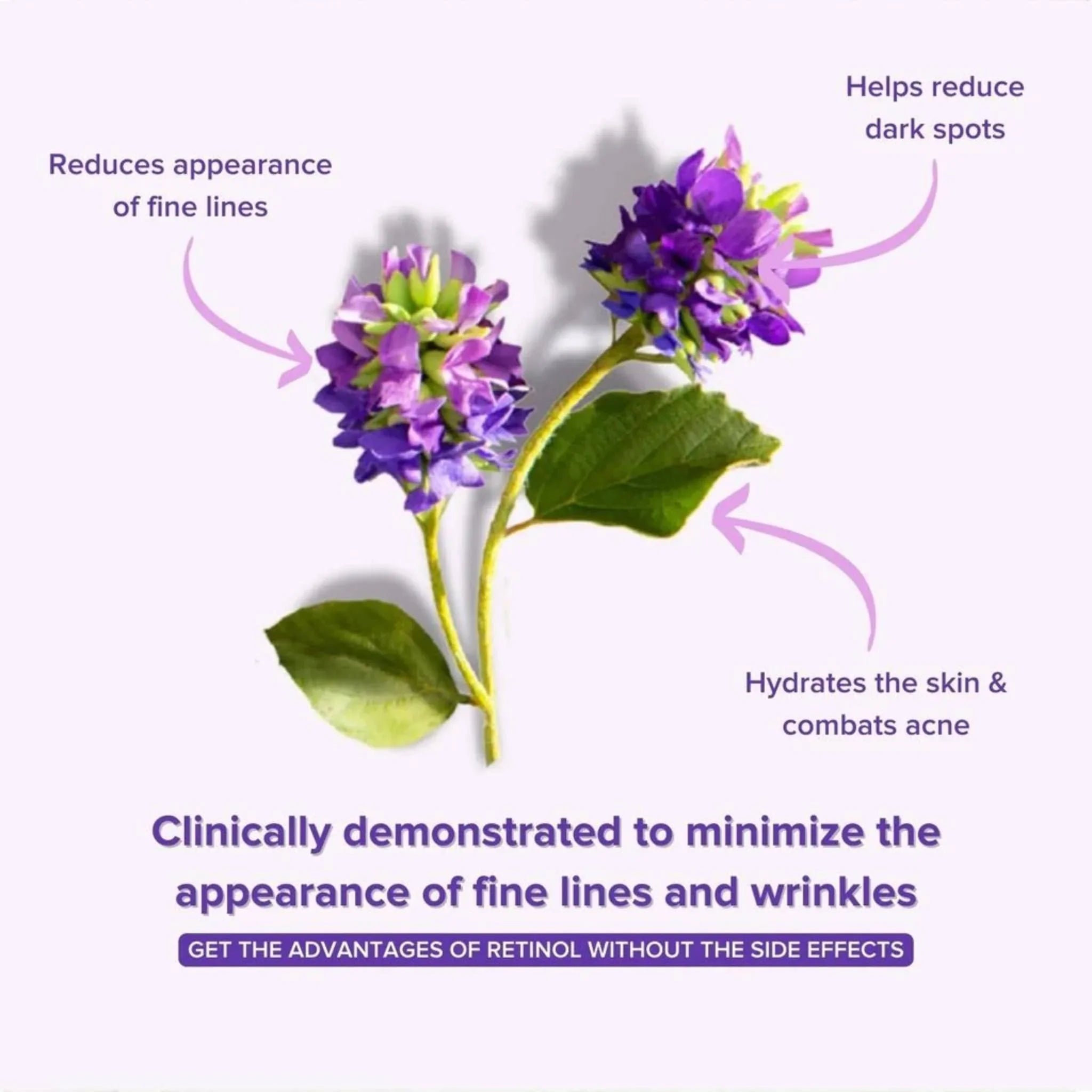 Bakuchiol flower with benefits text, highlighting anti-aging, fine line reduction, and retinol alternative serum.