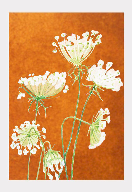 Art Print: Queen Anne's Lace on Rusty Orange - Qu!rk Boutique