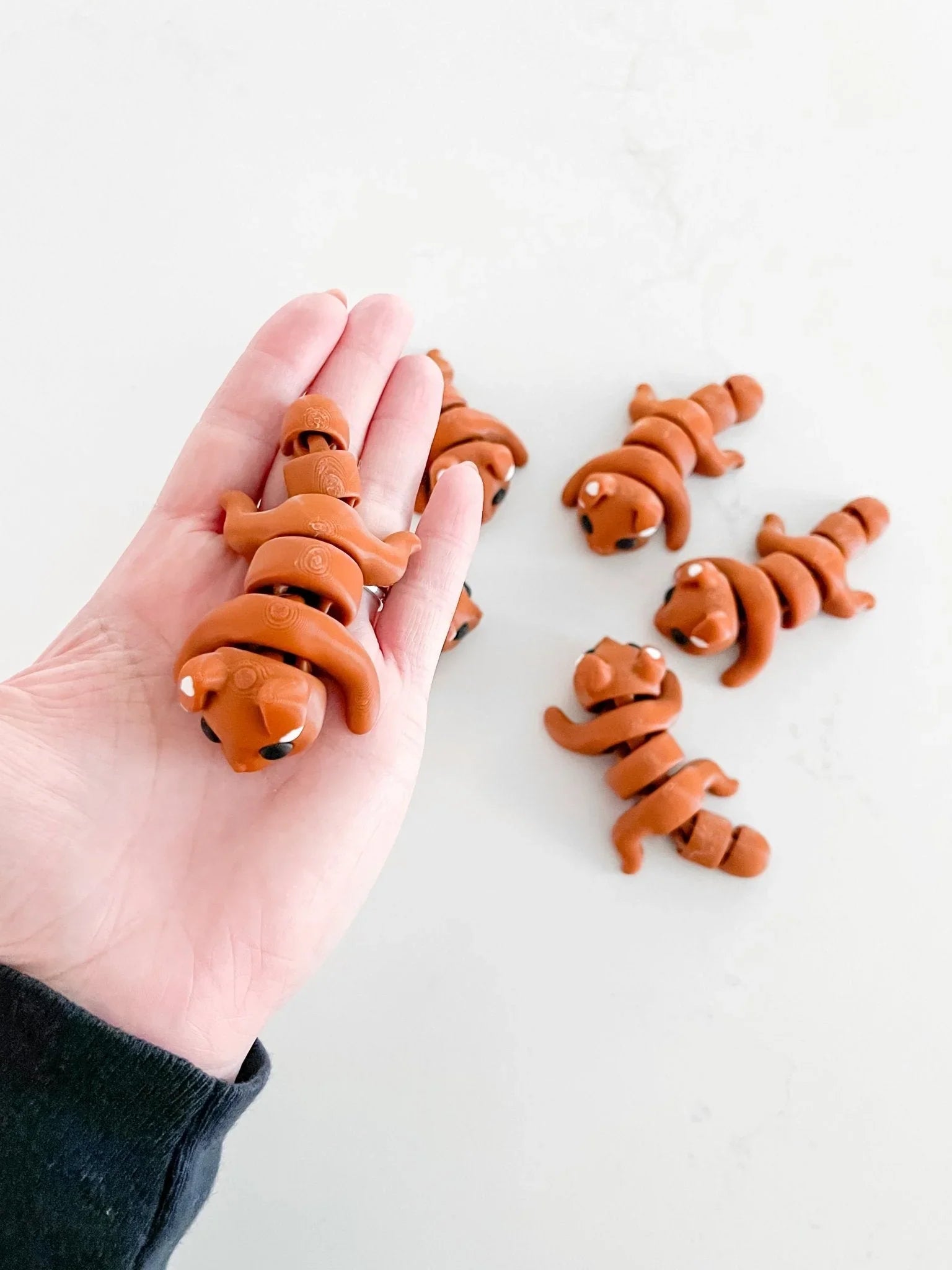 Hand holding a brown segmented dog fidget toy, with more toys on a white surface, eco boutique gift.