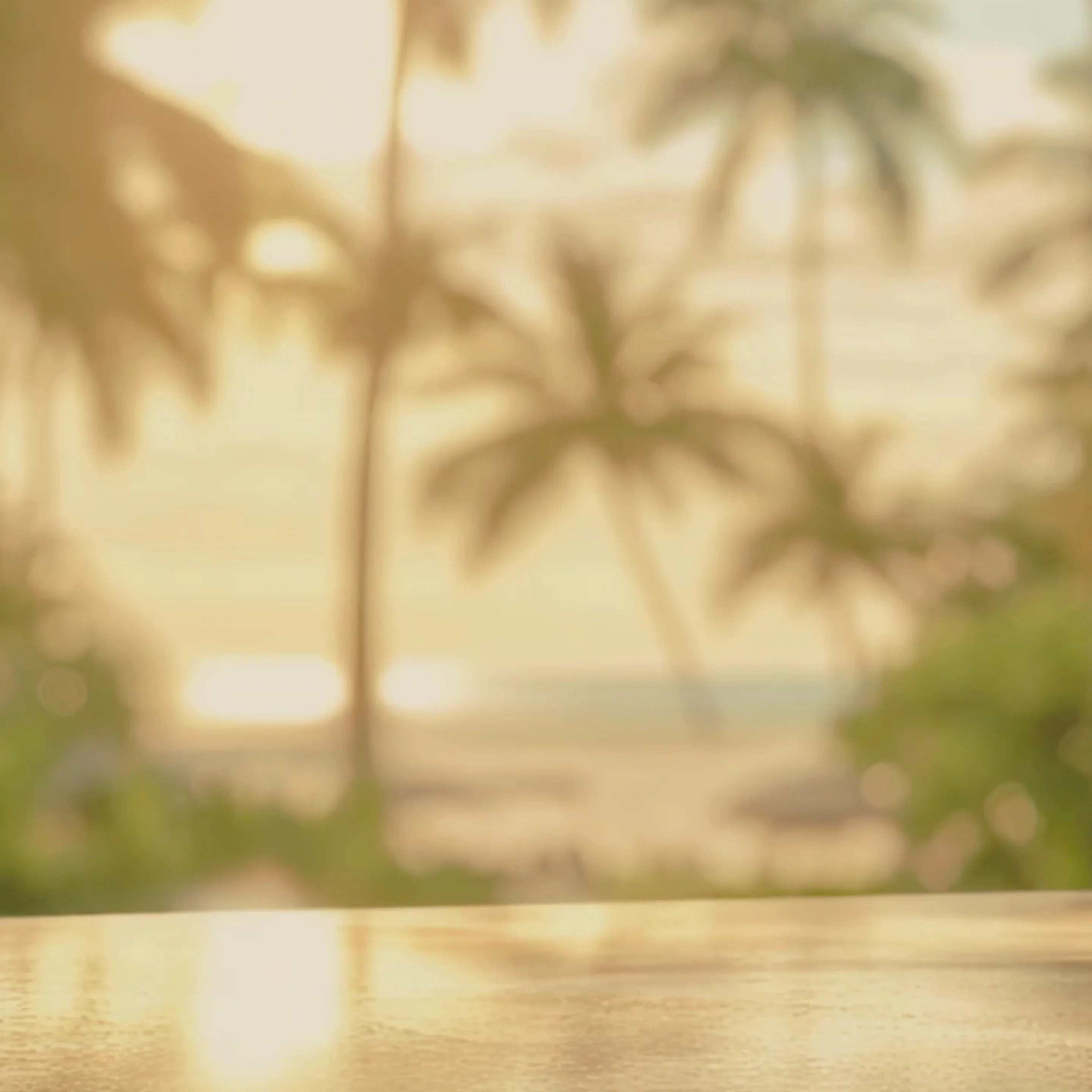 Sunlit tropical beach with blurred palm trees and warm, golden light at Qu!rk Boutique