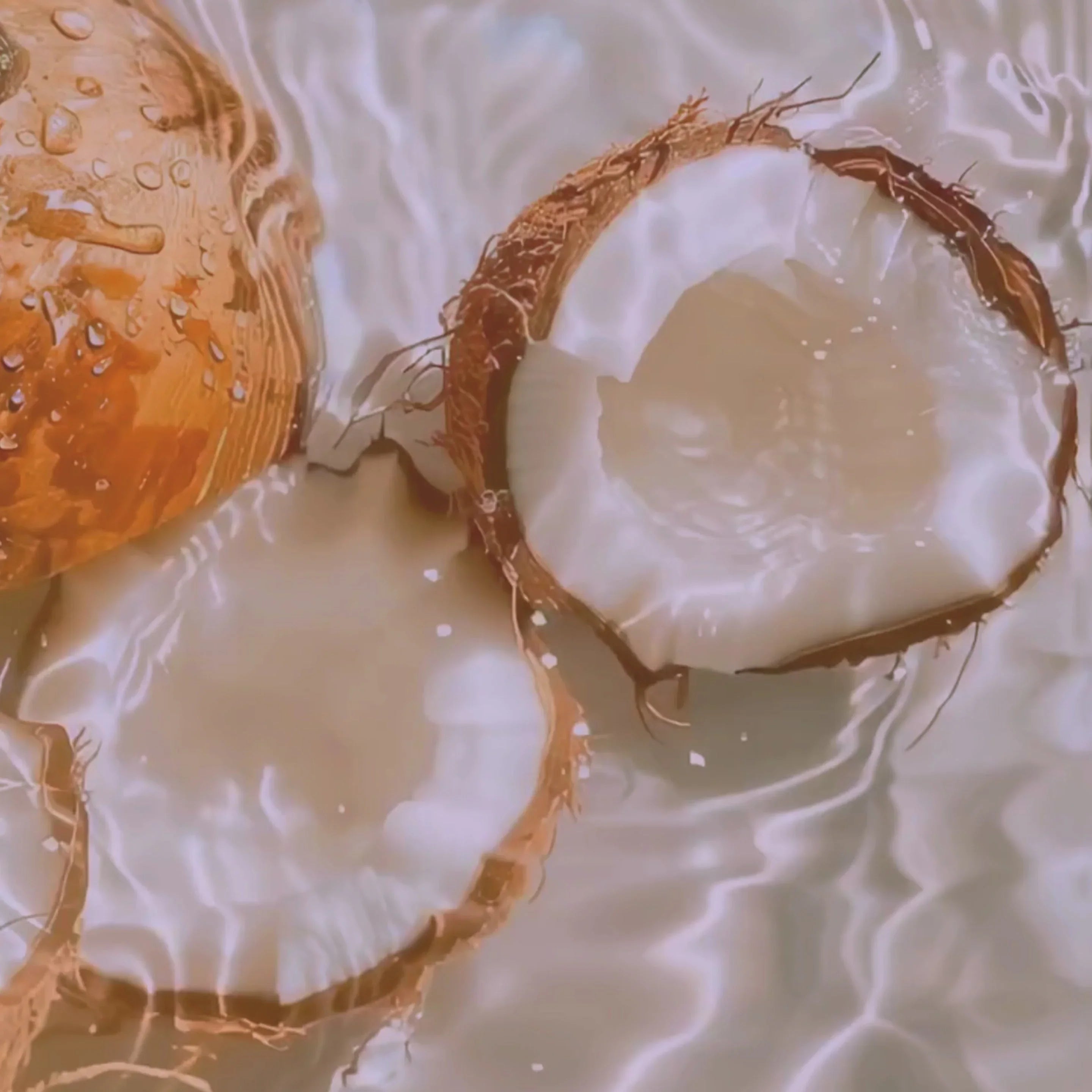 Fresh coconut halves floating in clear water, showcasing natural texture and tropical vibes