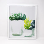 Succulent Art Print (4) on 11x14 Paper, Wall Art, Home Decor, Botanical Art - Qu!rk Boutique
