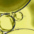 Herban Wisdom® Facial Oil Full Size - Qu!rk Boutique