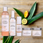 Organic Anti-Wrinkle Solution 5 PC Kit - Qu!rk Boutique