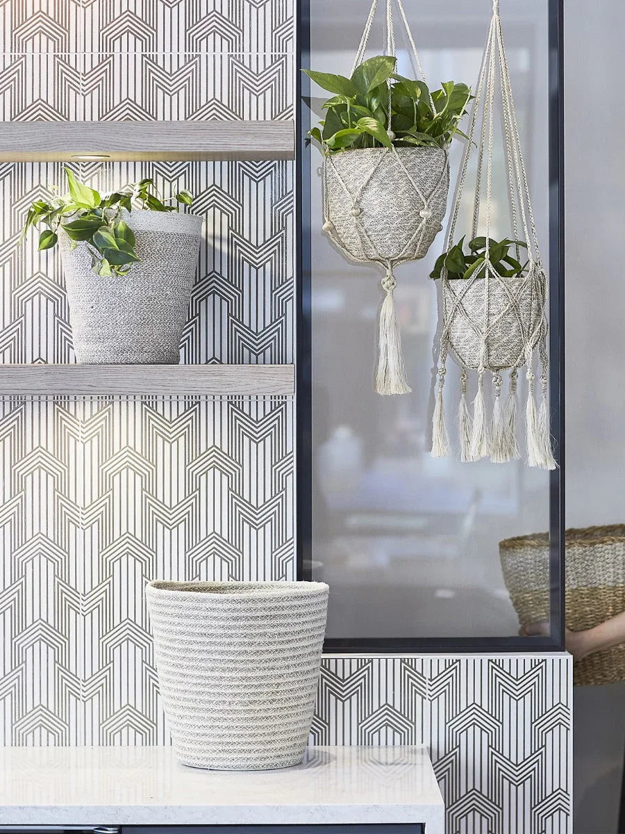 Modern boutique display with rope-woven plant hangers and pots against geometric wallpaper