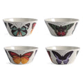 Metamorphosis Small Bowl S/4